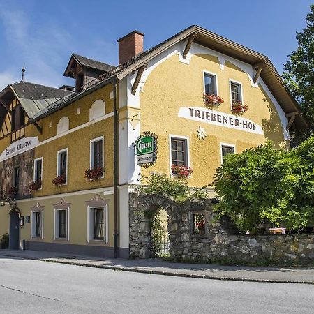 Triebenerhof Hotel Kültér fotó