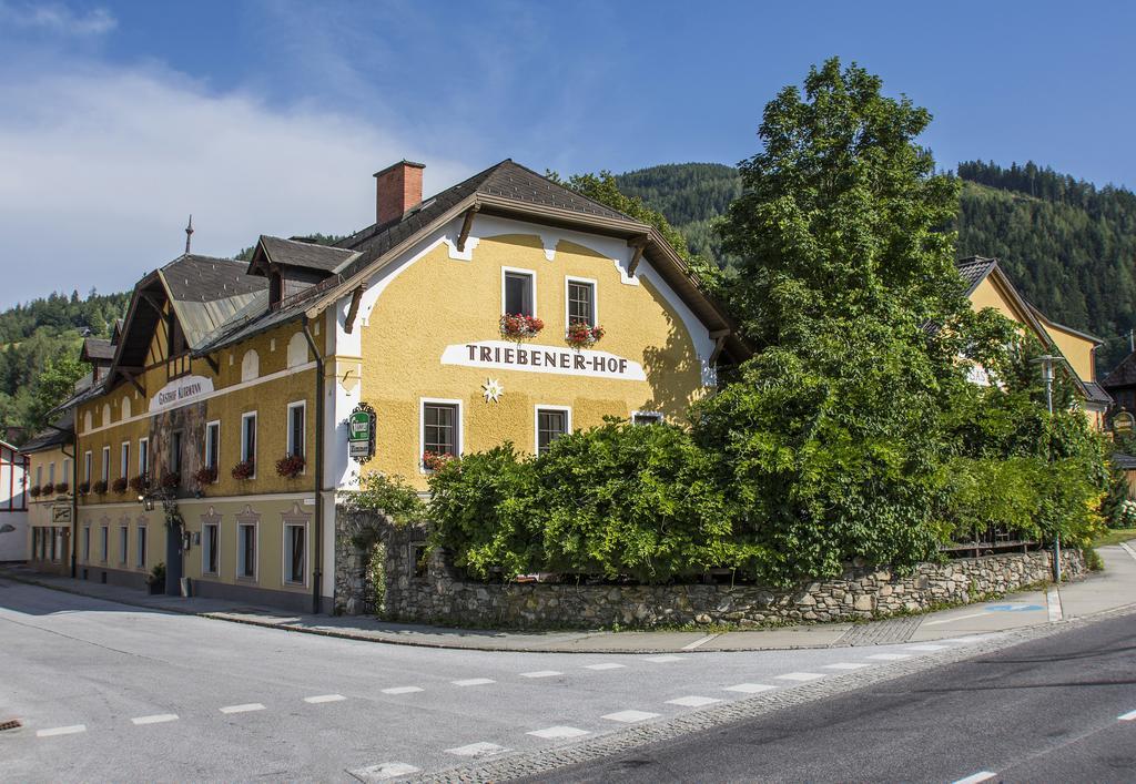 Triebenerhof Hotel Kültér fotó